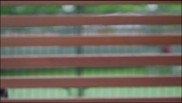 Vasudha - 22nd August 2025